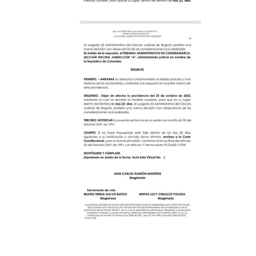 Entre otras cosas, en el momento en el que el Juzgado tomó la decisión era incierto si el proceso licitatorio iba a culminar con la adjudicación del contrato a alguno de los proponentes.  ¿Qué alegaban los demandantes? Que el Corredor Verde incumplía con el artículo 105 del Acuerdo Distrital 761 de 2020, ya que el diseño no estaba acorde al Plan de Desarrollo de la administración de Claudia López.   “Mostramos que no había coherencia entre lo que se iba a hacer y lo que se había plasmado en el plan”, le dij