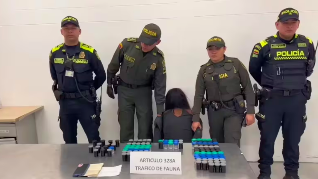capturan a una mujer en aeropuerto El Dorado que pretendía traficar 130 ranas venenosas