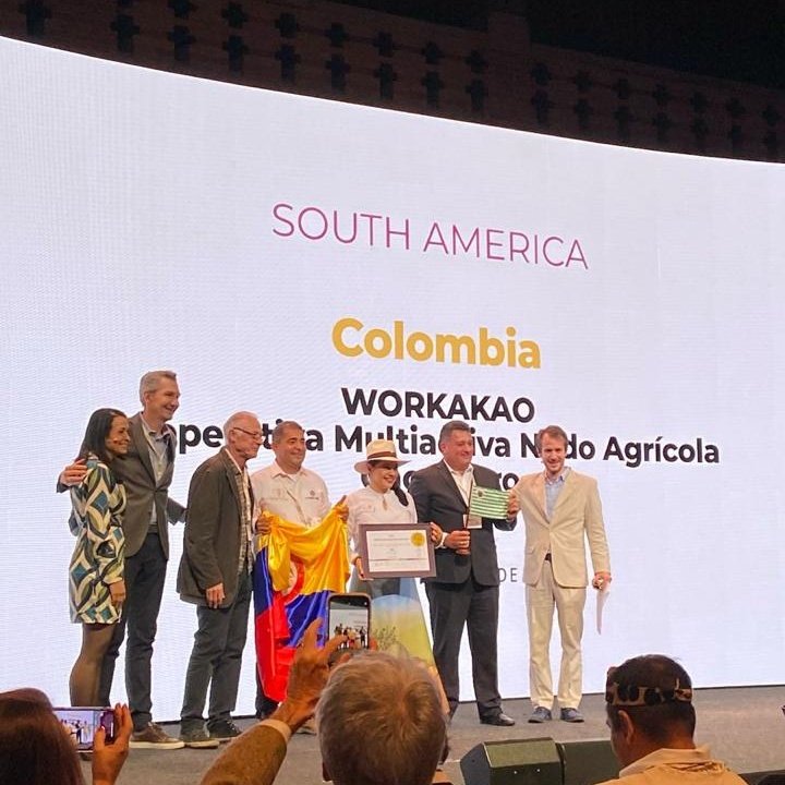 ¡Cacao colombiano fue galardonado como el mejor del mundo en concurso internacional!