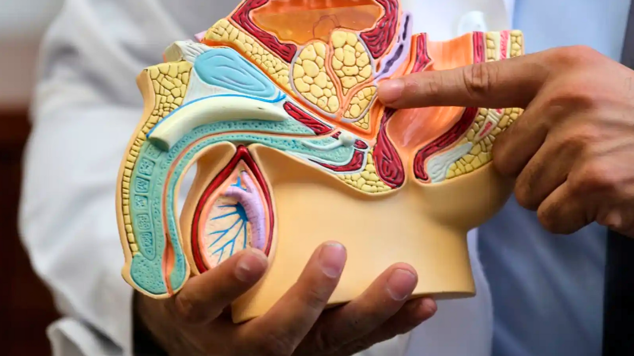 ¡Esté atento! La eyaculación podría alertar sobre su salud: tiene que ver con la posibilidad de sufrir un tipo de cáncer