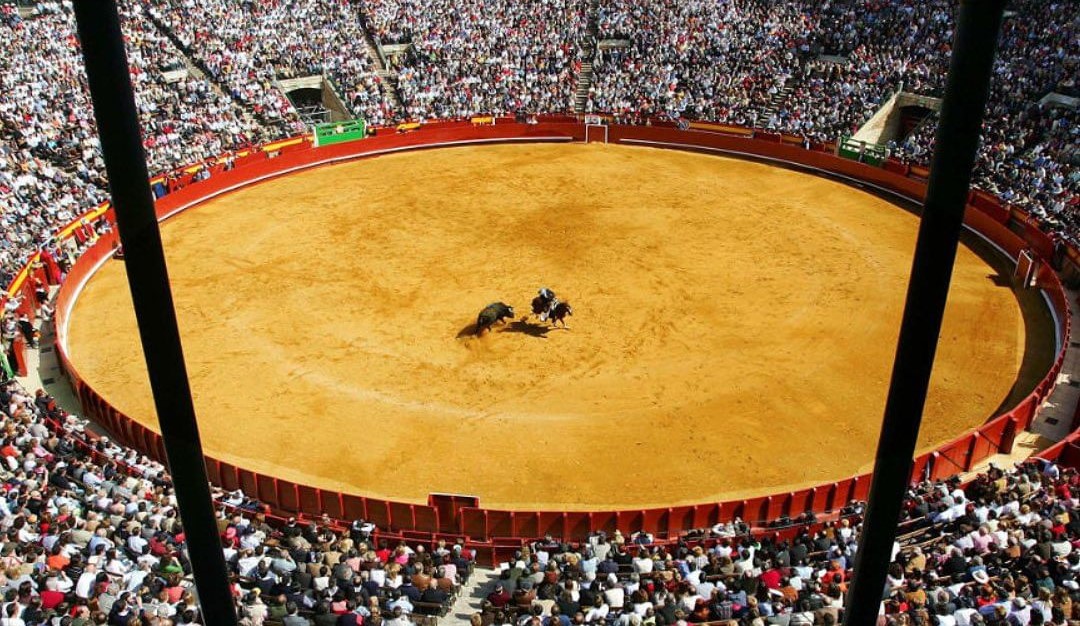 Alcalde de Cartagena explicó que no habrá más corridas de toros: ¿qué pasará con la Plaza de Toros?