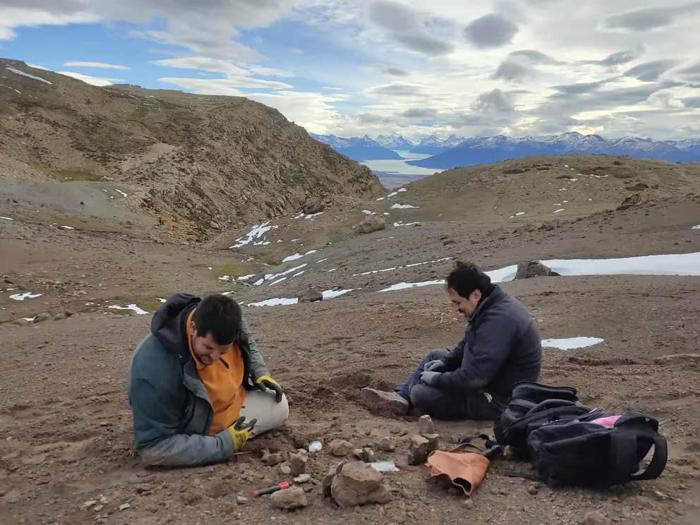 Sorprendente: en Argentina, investigadores hallaron los fósiles del mamífero más grande que convivió con los dinosaurios 