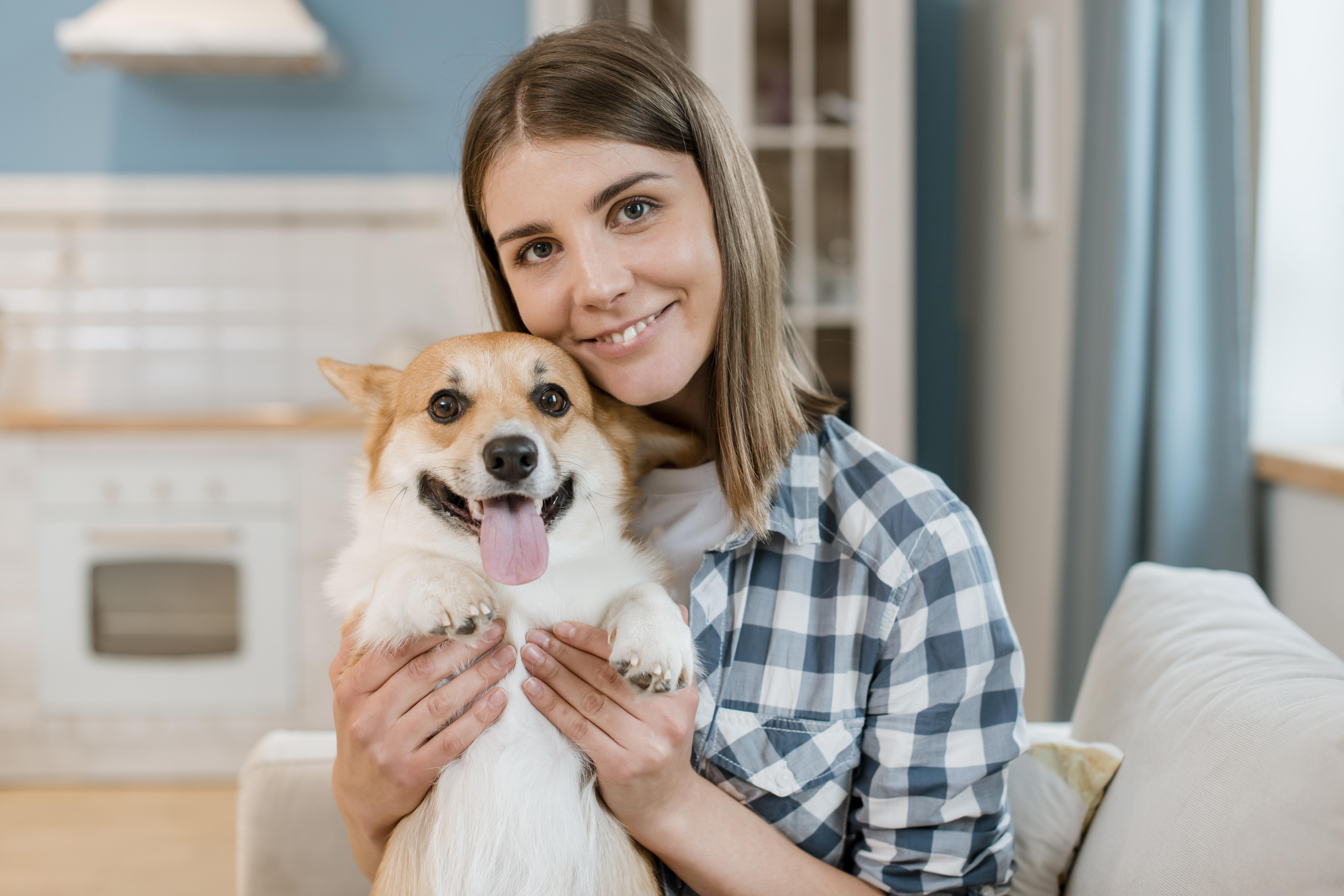 ¿Por qué los perros pueden entender a los humanos y empatizar con ellos? Esto reveló un estudio