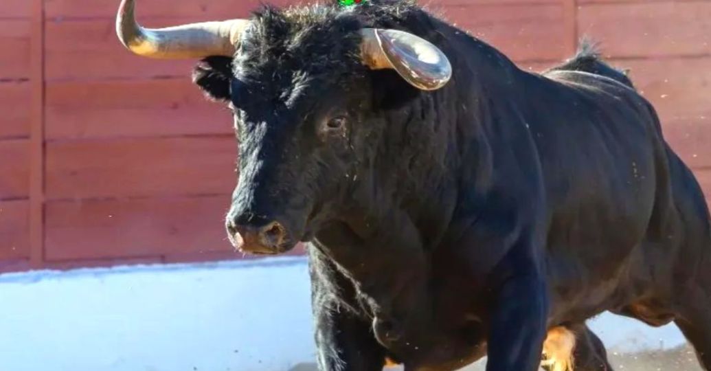 Corridas de toros: ¿en qué países aún están permitidas?