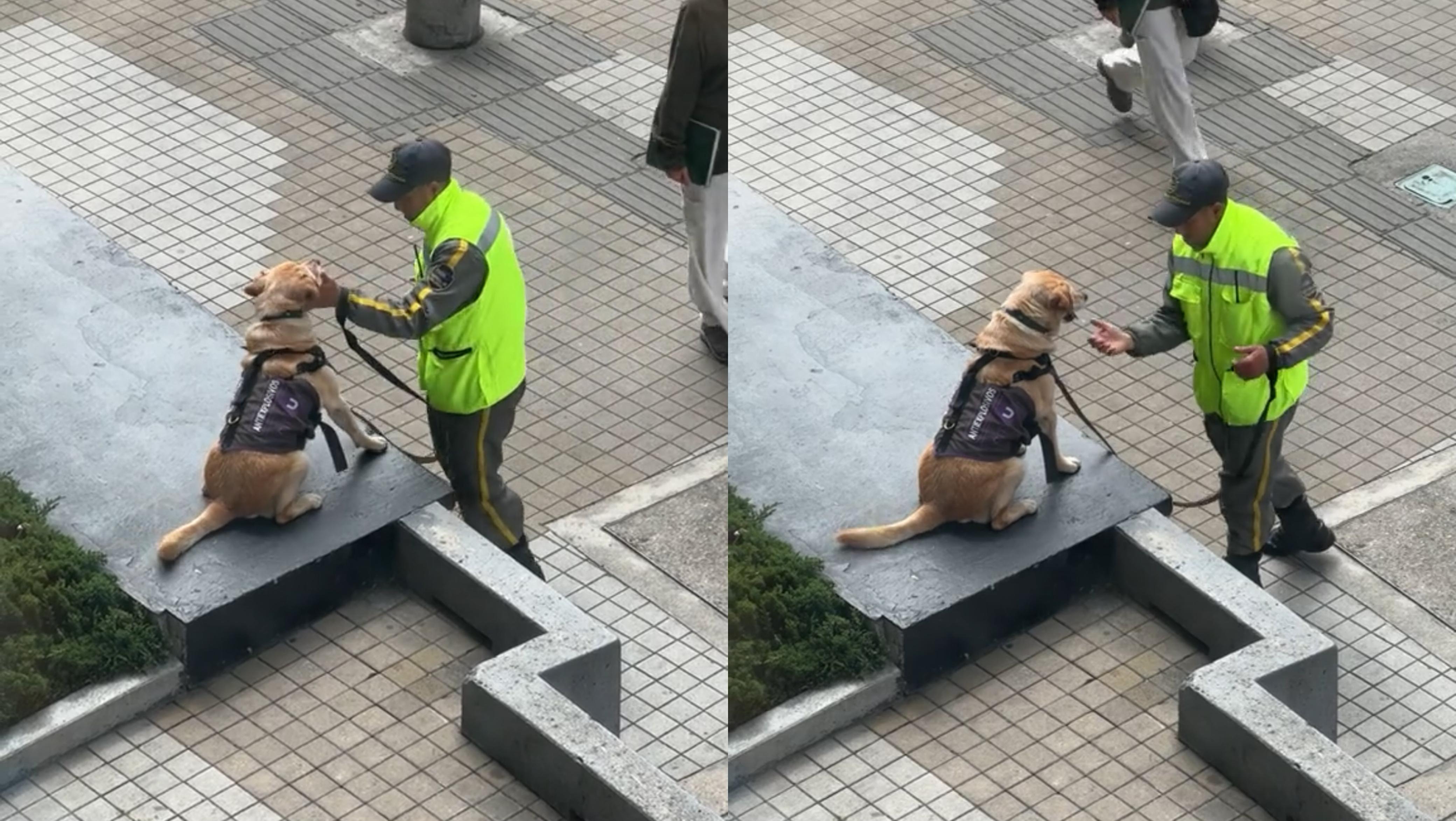 El mejor compañero de trabajo: guardia de la universidad de Los Andes se hace viral por jugar con su compañero peludo