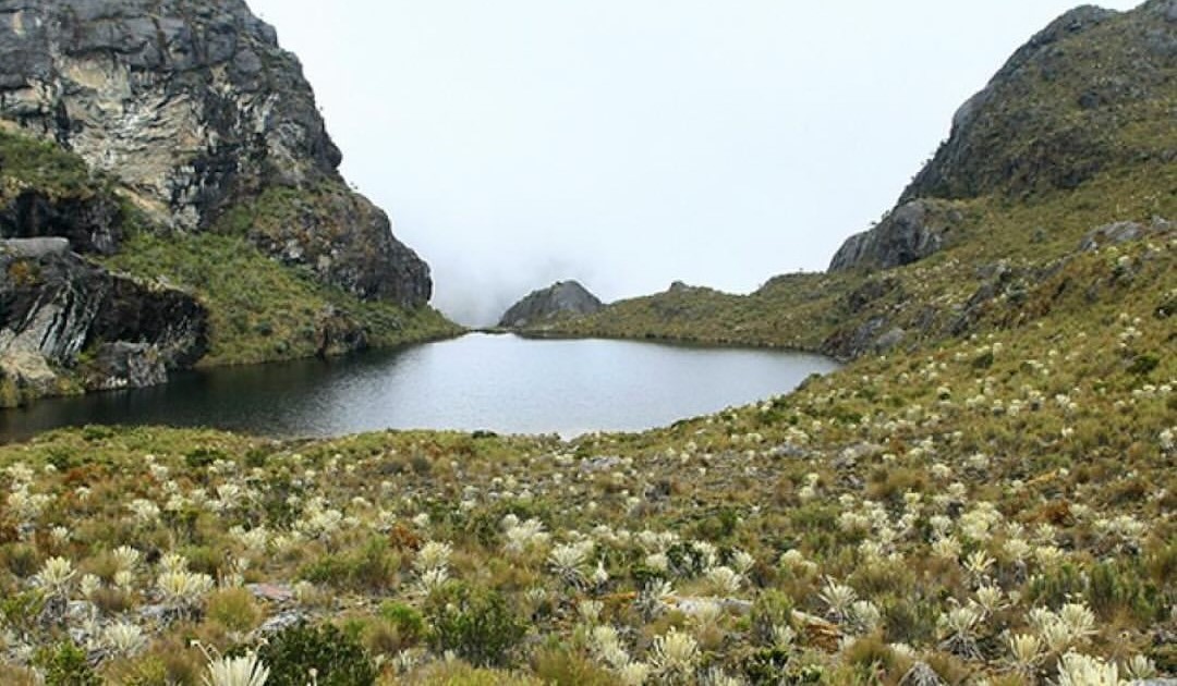 Colombia derrotó a multinacional y queda en firme prohibición de minería en Santurbán