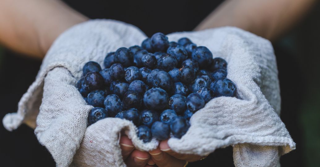 La fruta más saludable según nutricionista: tiene antioxidantes y mejora la memoria