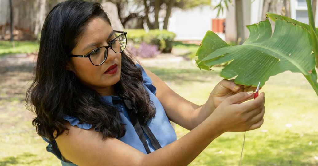 Científica produce música con el sonido de las plantas en México