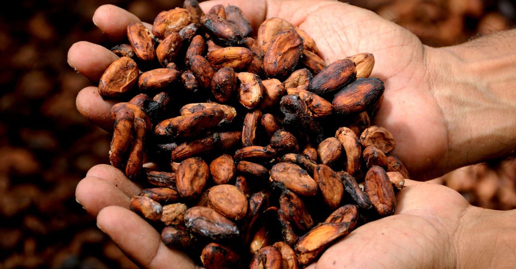 ¿Lo sabía? este es el fruto que puede retrasar el envejecimiento