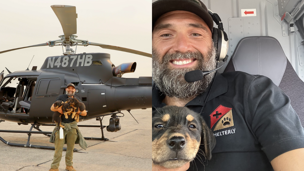 ¡Heroico! Bombero arriesgó su vida para salvar unos cachorros de los incendios que azotan California