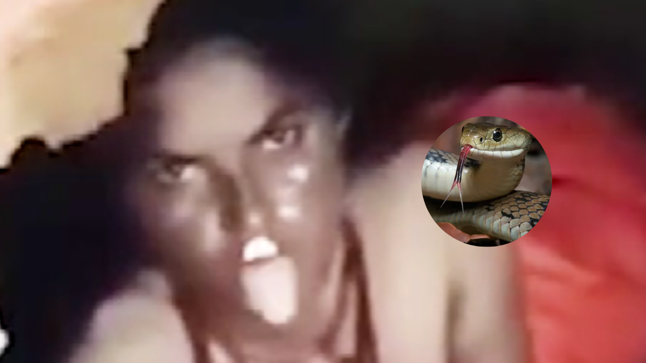 En video| ¿Una serpiente humana? Misterioso comportamiento de mujer causa pánico en redes