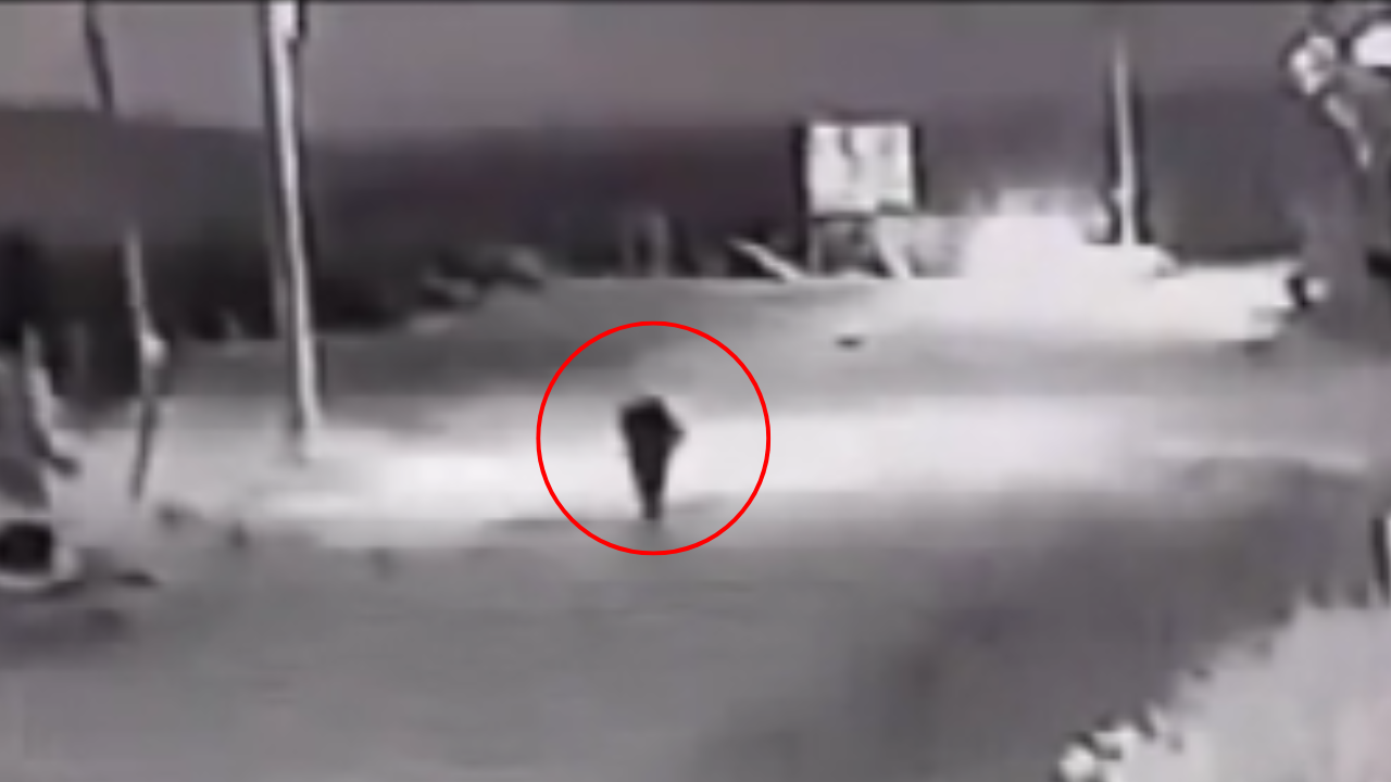 ¿Un perro se transformó en humano? Este es el misterioso video que se ha hecho viral. Ya hay teorías