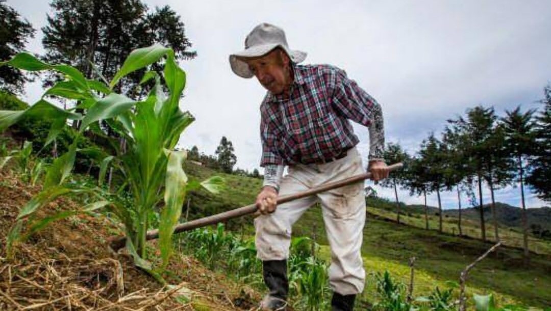Gobierno radica ley de jurisdicción agraria: hay polémica sobre si abriría la puerta a la expropiación exprés