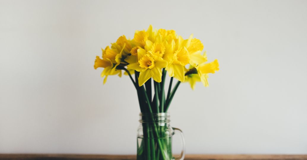 ¿Por qué el 21 de septiembre se regalan flores amarillas en Colombia?
