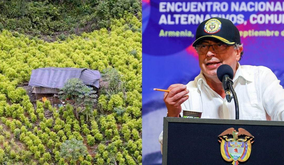 ¿Es posible comprar cosecha de coca a campesinos como planteó Petro? MinInterior habló al respecto