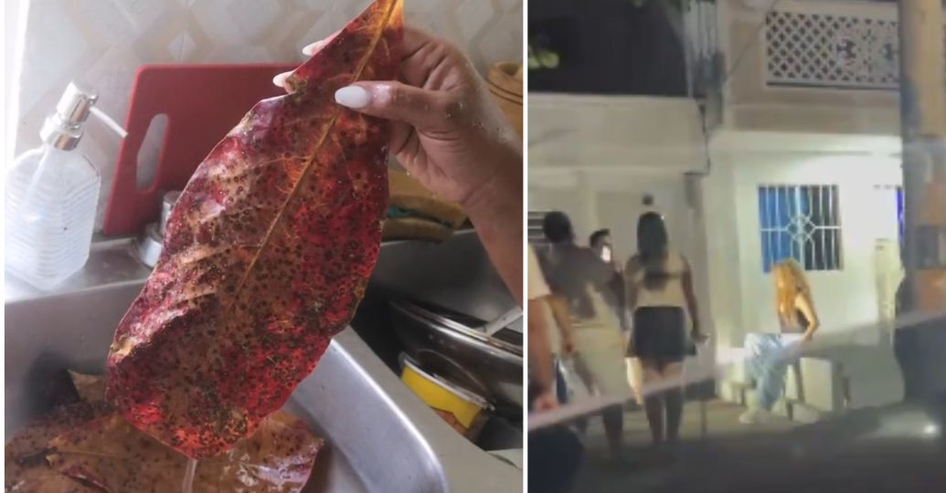 dueña de la casa del 'bordillo de Shakira', vende hoja en 1 millón de pesos por esta razón