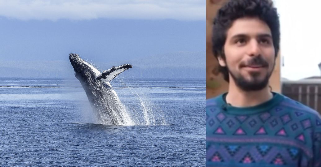 En video: joven que fue apresado y escupido por una ballena relató su experiencia