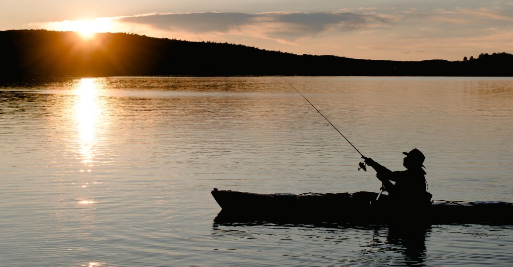 ¿Parece alienígena? pez con extraña apariencia sorprendió a pescador y ya es viral