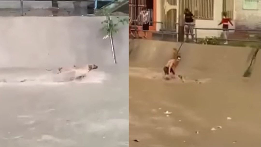 Hombre se lanza a canal en Perú y salva a un perro de ser arrastrado al río
