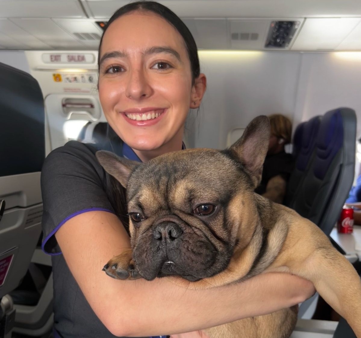 Wingo consiente a las mascotas con 'snacks' y comparte actualizaciones sobre los viajes en cabina