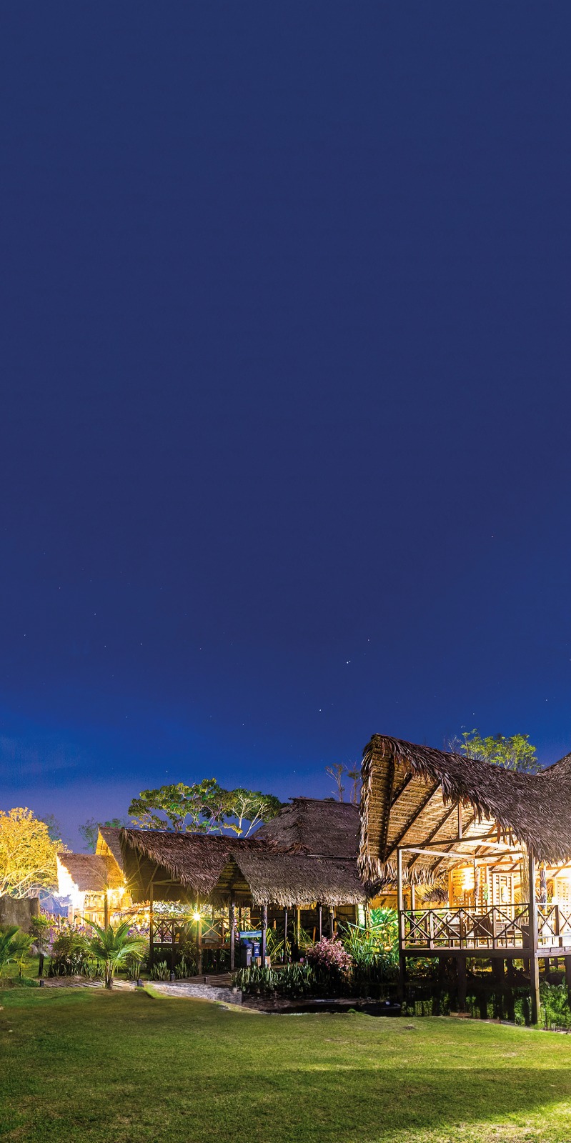 Viajar al Amazonas: naturaleza, cultura y aventura en un solo destino