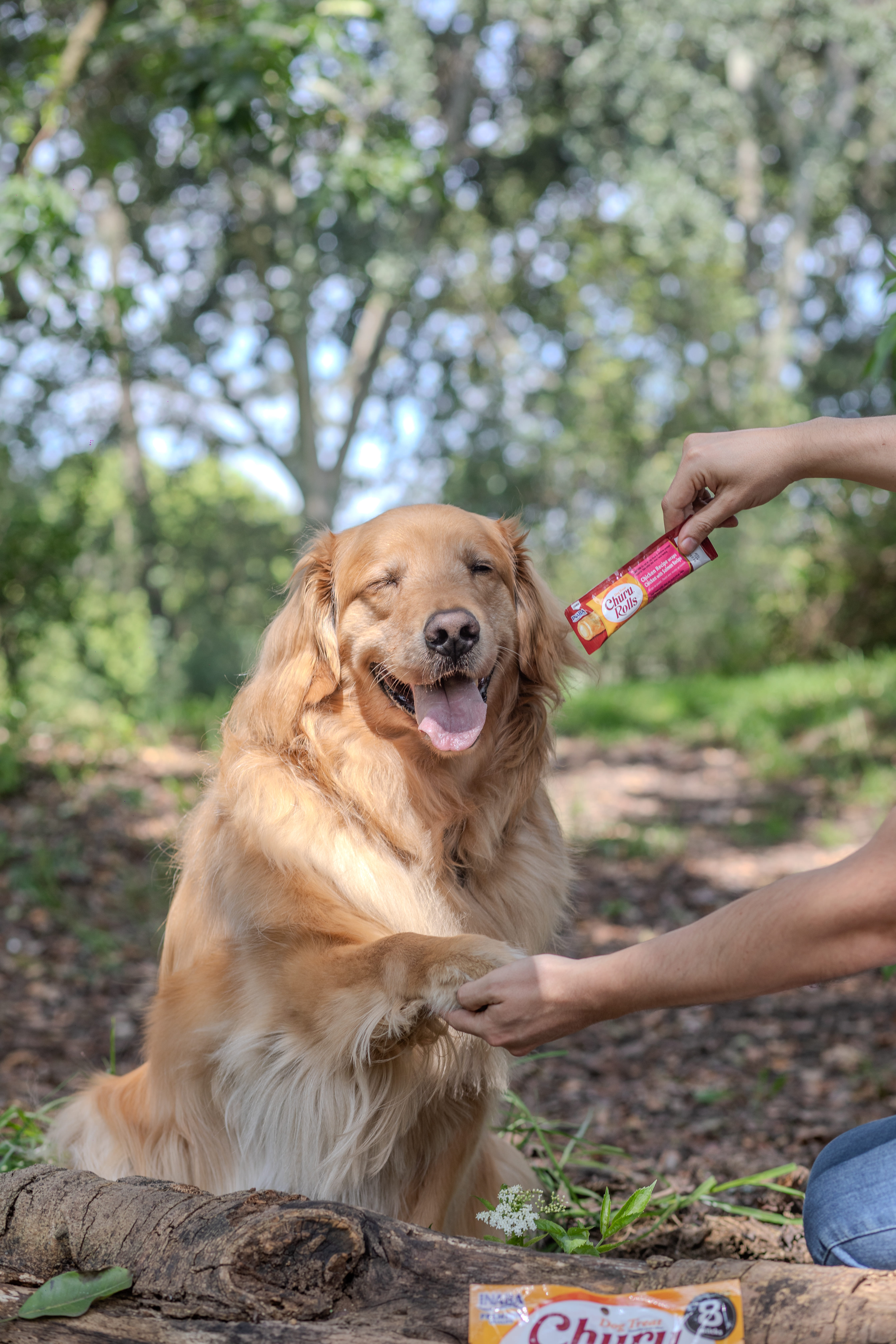 El secreto mejor guardado de los veterinarios para consentir (y cuidar) a las mascota
