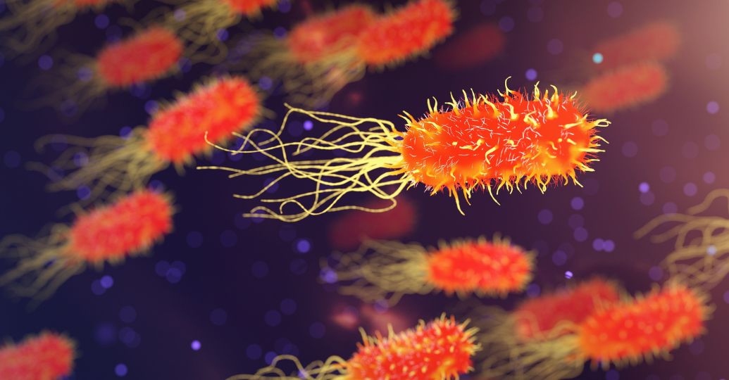 Alerta en EE. UU. por la bacteria "come carne" que se propaga en el verano Frase clave: bacteria come carne Estados Unidos