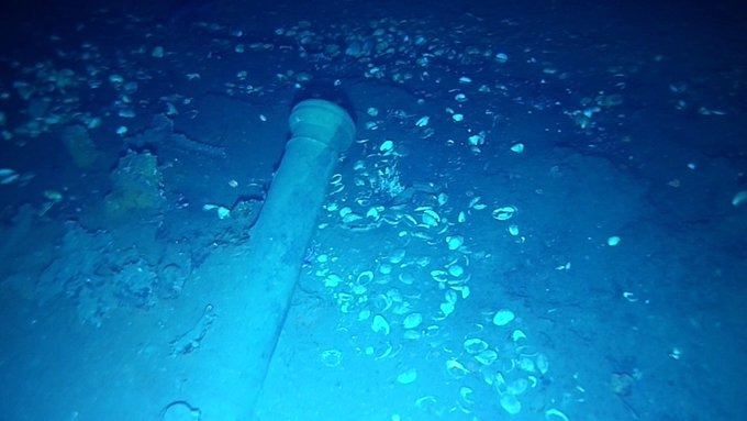 Colombia recuperó cinco objetos arqueológicos del Galeón San José en Cartagena: ¿cuáles son?