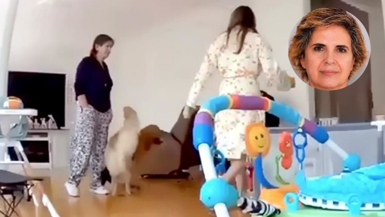 Capturan en Venezuela a Érika Herrera por crimen de la exreina Carolina Flores, en México: ¿cómo huyó?