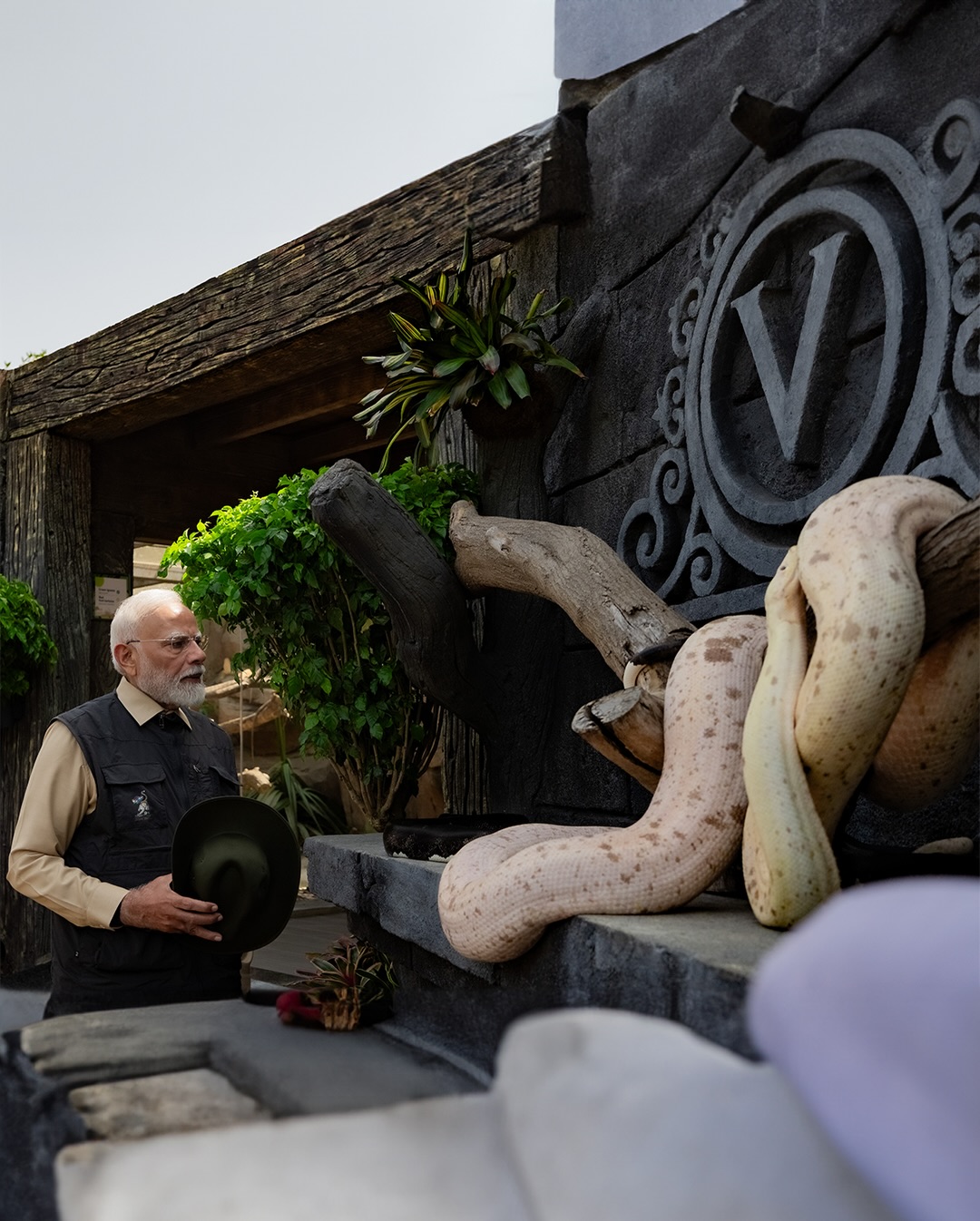 Así es el centro de conservación a donde el millonario indio propone llevar los hipopótamos de Colombia