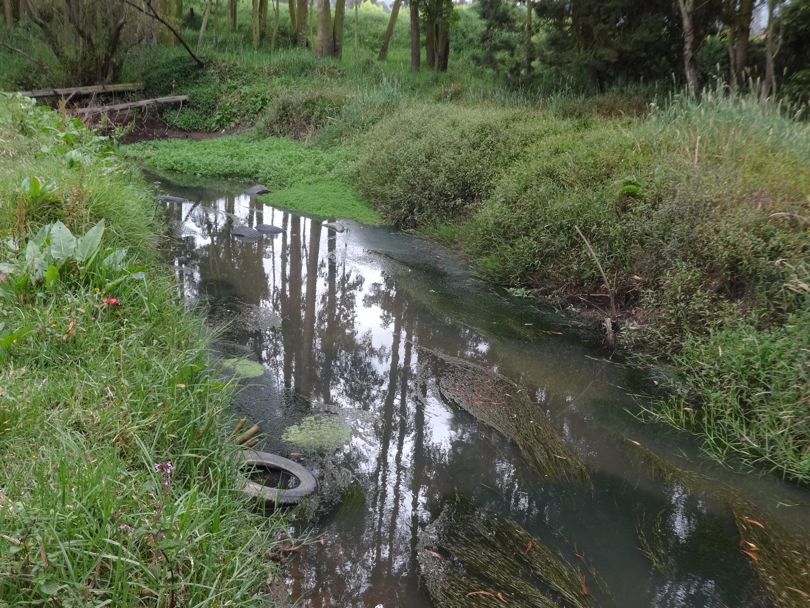 Río Frío en Cajicá