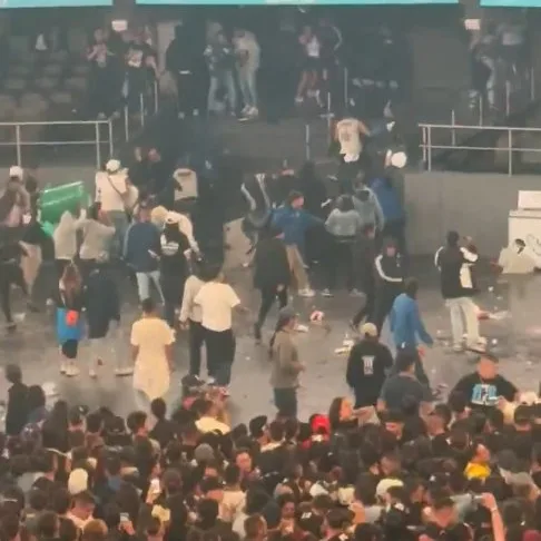 Riñas Movistar Arena