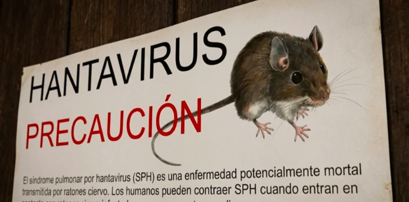 ¿El hantavirus se transmite entre personas? Esto es lo que debe saber sobre el brote actual