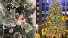 ¿Qué árbol de navidad elegir si tiene gatos en casa?