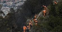Fundación que cuida perritos se vio afectada por incendio en Bogotá