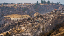 Gobierno chileno decretó duelo nacional ante la crítica situación por los incendios forestales