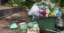 Alarmante: el mundo desperdició cerca del 19% de los alimentos en 2022 según la ONU
