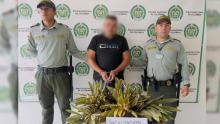 Capturan a hombre que arrancó y robó frailejones cerca al Nevado del Ruíz: esto se sabe