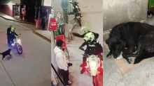 Separan de su cargo a dos policías que golpearon a un perro en Bogotá luego de ladrarles