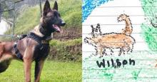 Si Wilson nunca estuvo con los hermanos Mucutuy, ¿por qué dibujaron un perro?