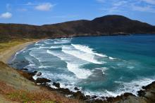 Colombia tiene nueve playas con sello internacional Bandera Azul: ¿cuáles son y qué significa?