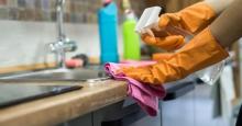 Cuánto deben recibir las empleadas y empleados domésticos de prima