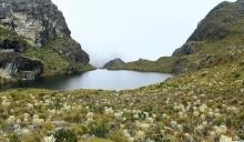 Colombia derrotó a multinacional y queda en firme prohibición de minería en Santurbán