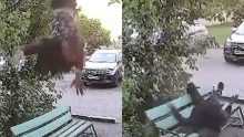 En video| De no creer: borracho se tiró de un balcón porque su amigo no lo dejó salir por su estado