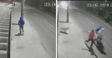 ¡Héroe! Perrito frustró robo de un carro en el sur de Bogotá