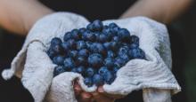 La fruta más saludable según nutricionista: tiene antioxidantes y mejora la memoria
