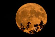 Luna de Ciervo: conozca cómo verla y cuál es su afectación en cada signo del zodiaco