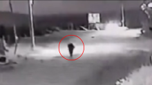 ¿Un perro se transformó en humano? Este es el misterioso video que se ha hecho viral. Ya hay teorías