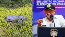 ¿Es posible comprar cosecha de coca a campesinos como planteó Petro? MinInterior habló al respecto