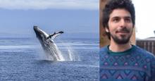 En video: joven que fue apresado y escupido por una ballena relató su experiencia